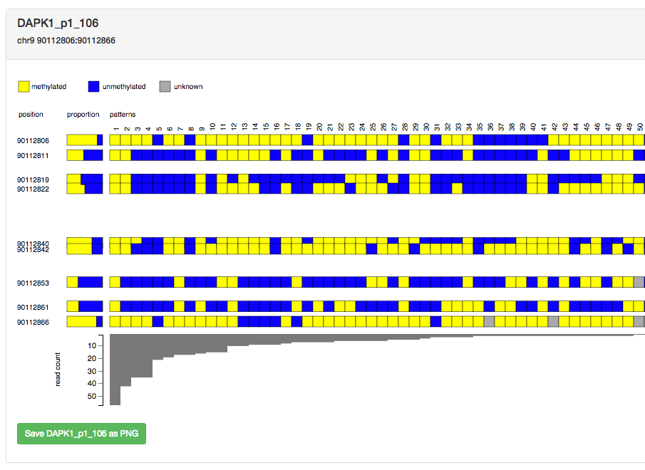 Screen grab of part of the methpat visualisation showing relative CpG site spacing
